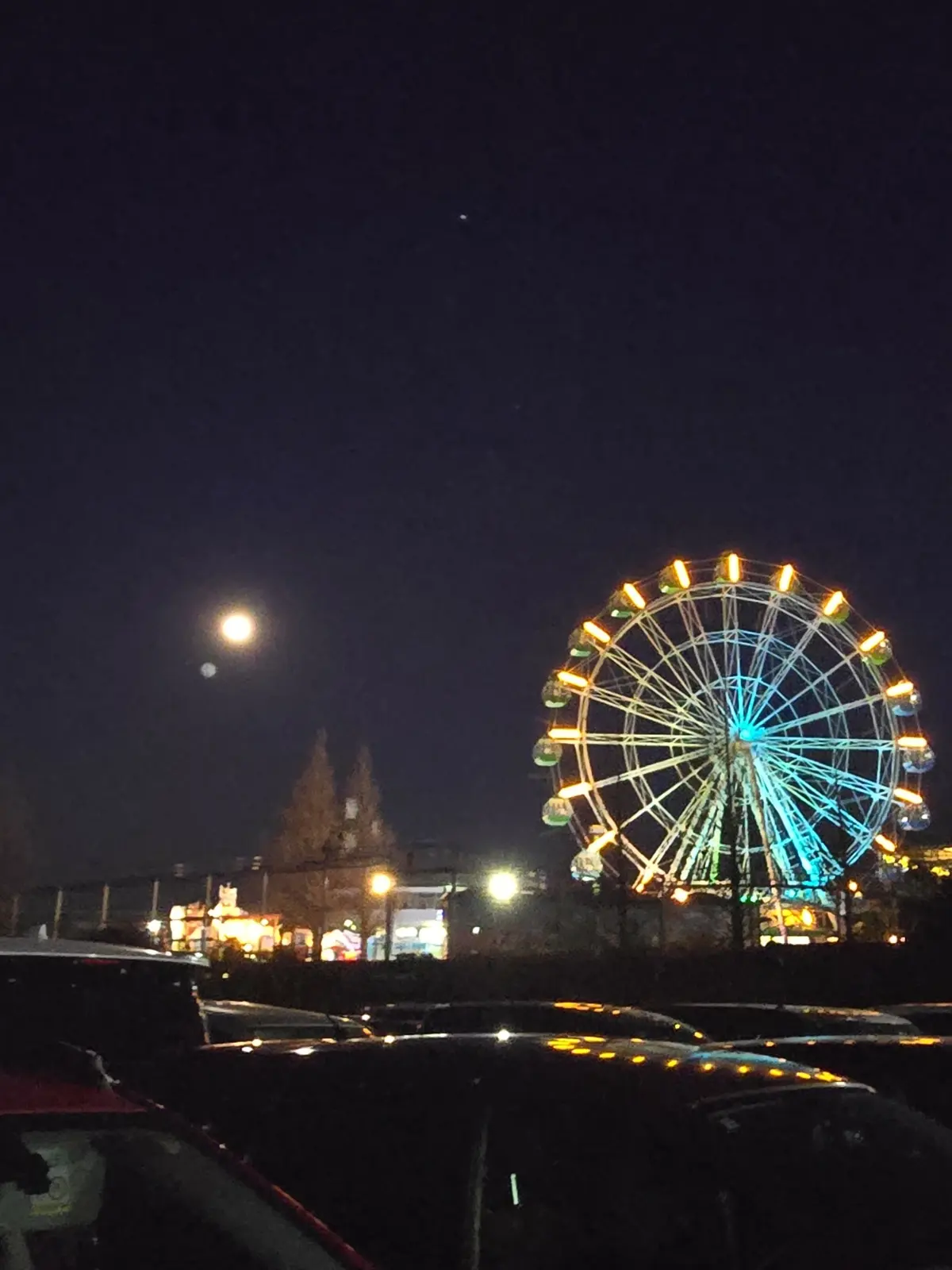 今の時期ならでは！菜の花とイルミネーショの画像_20