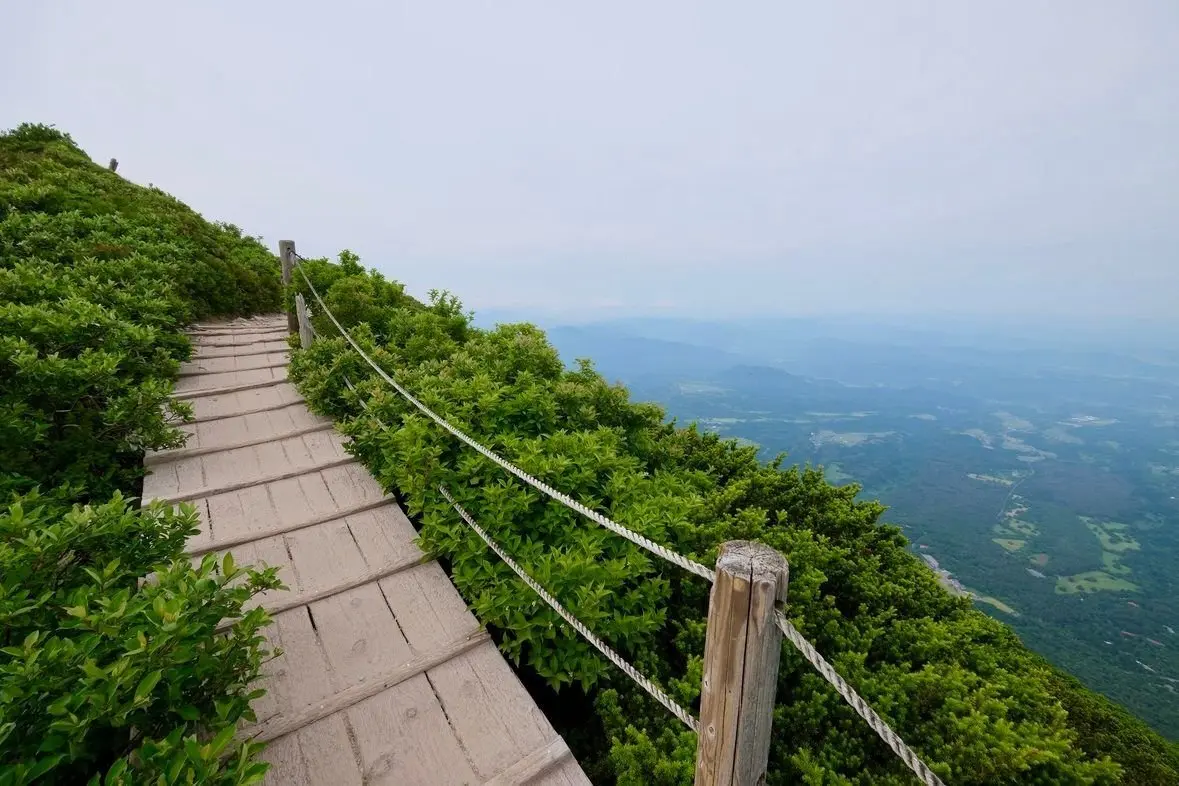 木製の階段が緑豊かな山腹に沿って延び、両側に手すり付きで、遠くに広がる山並みと谷を見渡すパノラマ風景