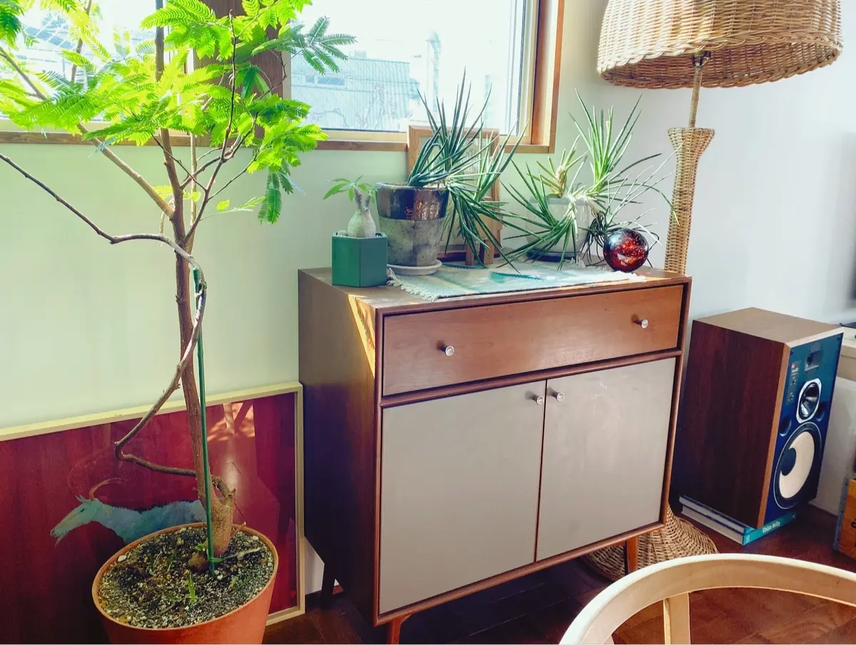 モーブレーワークス チェスト インテリア エクラ編集部員の偏愛名品図鑑