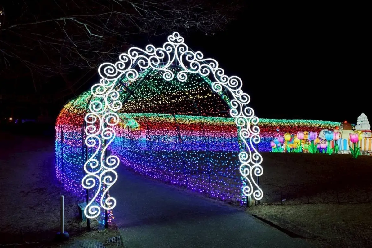 東京ドイツ村のイルミネーション　✨️キラの画像_37