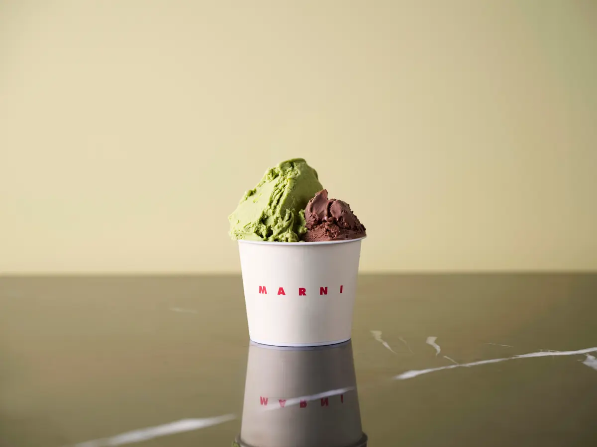 マルニマーケット限定　　アサコイワヤナギ　ジェラート