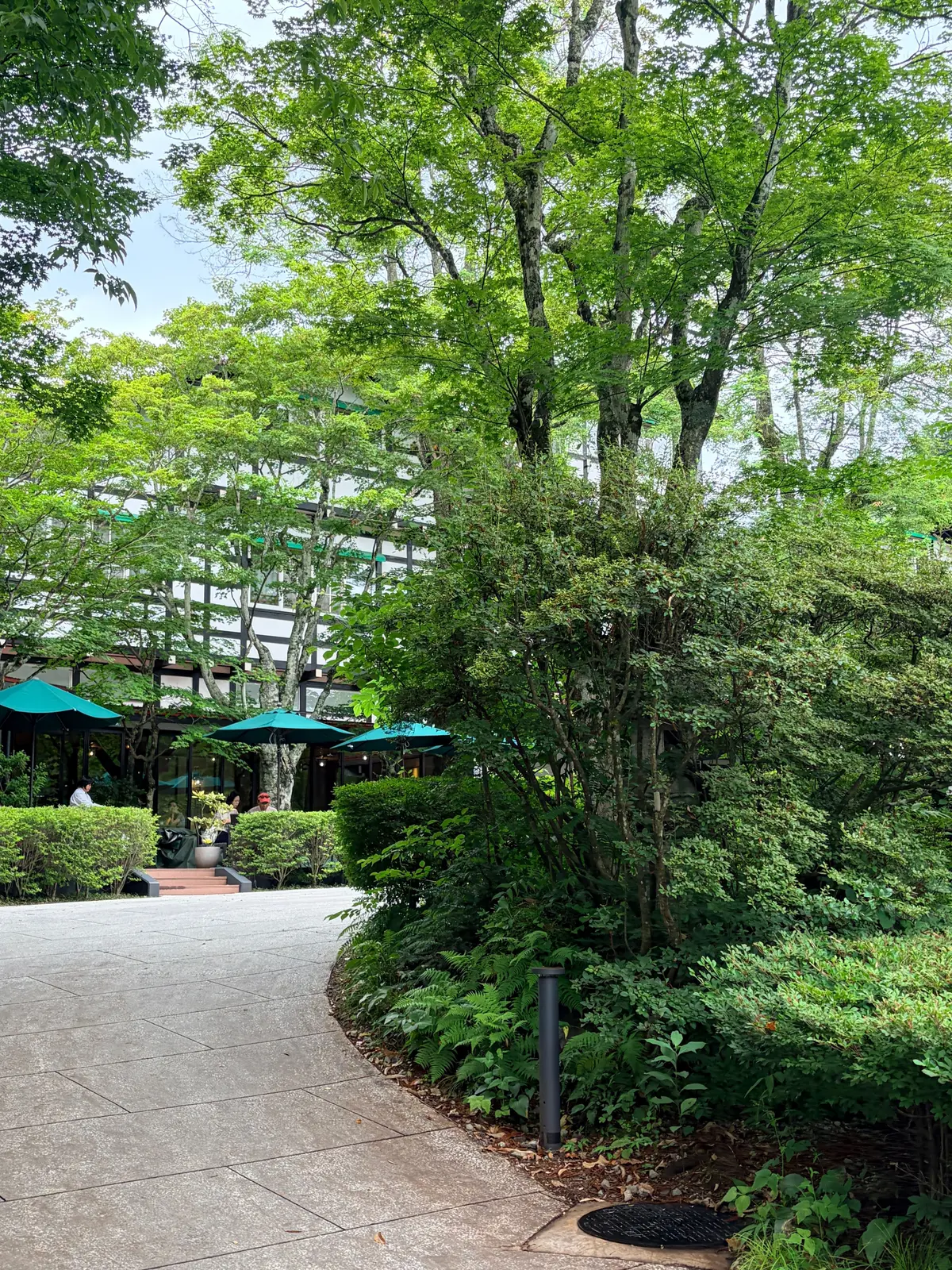 緑豊かな植栽が茂る庭園の一角。左には石畳の通路が続き、その先にテラス席のある建物が見える。建物は木造で、緑色のパラソルが設置されている。手前には様々な種類の植物が生い茂り、通路沿いには金属製の支柱がある。