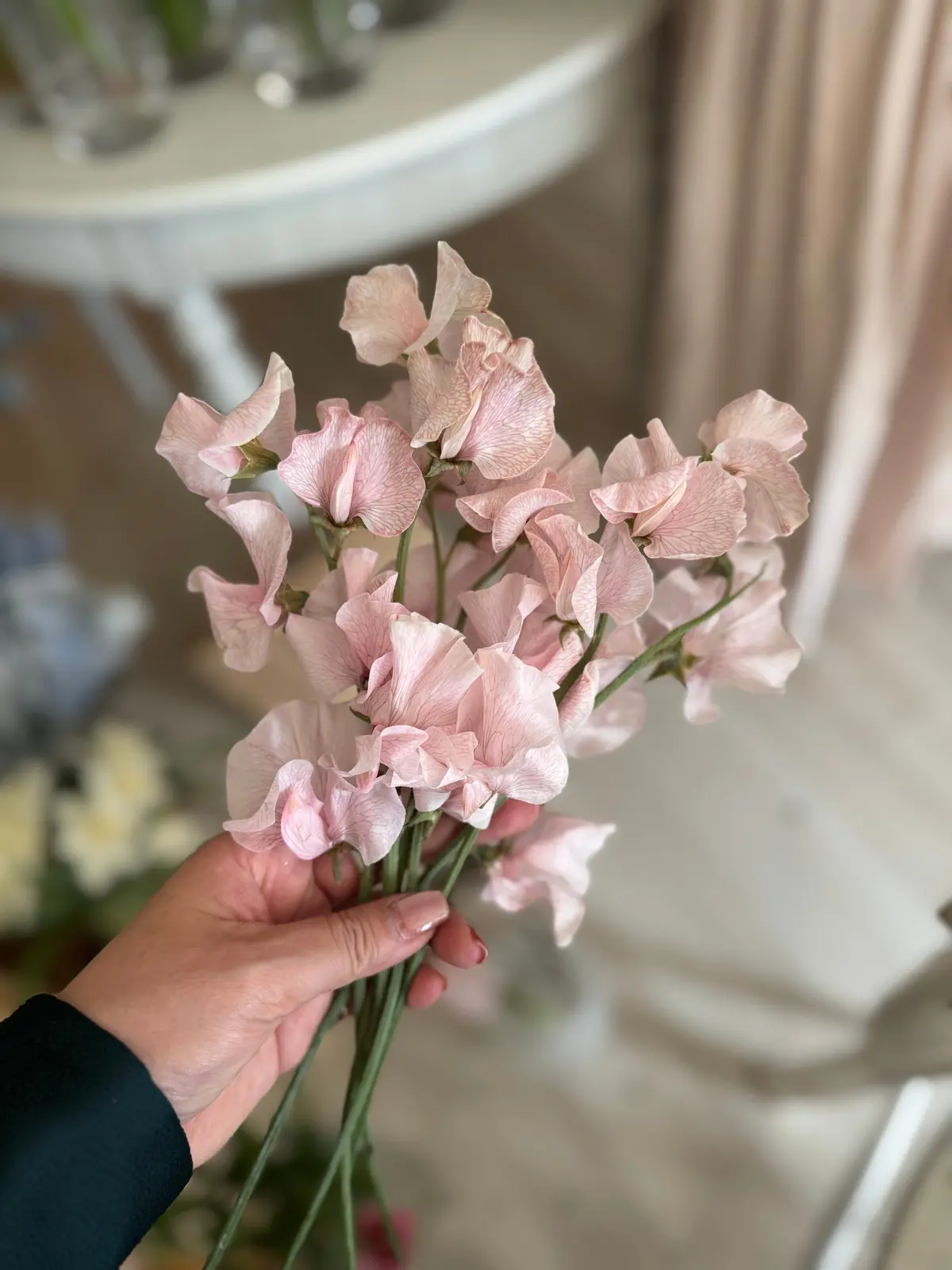 chez sakura スイートピー