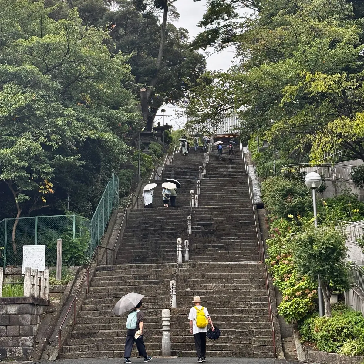 緑豊かな木々に囲まれた石段が、上に向かって長く続いている。雨模様の天候の中、人々が傘をさして階段を登っている。手すりが設置され、左右に植栽がある。