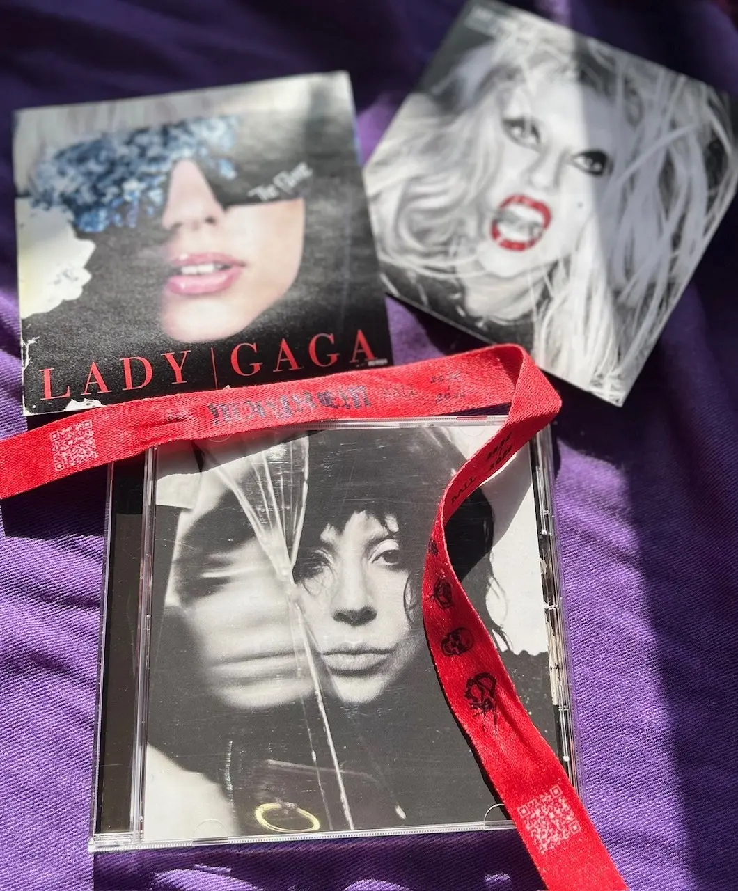 感動と興奮のLady GagaのLiveの画像_3