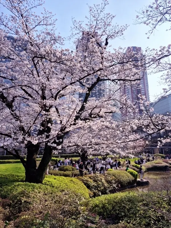 【東京ミッドタウン】から【毛利庭園】へおの画像_11
