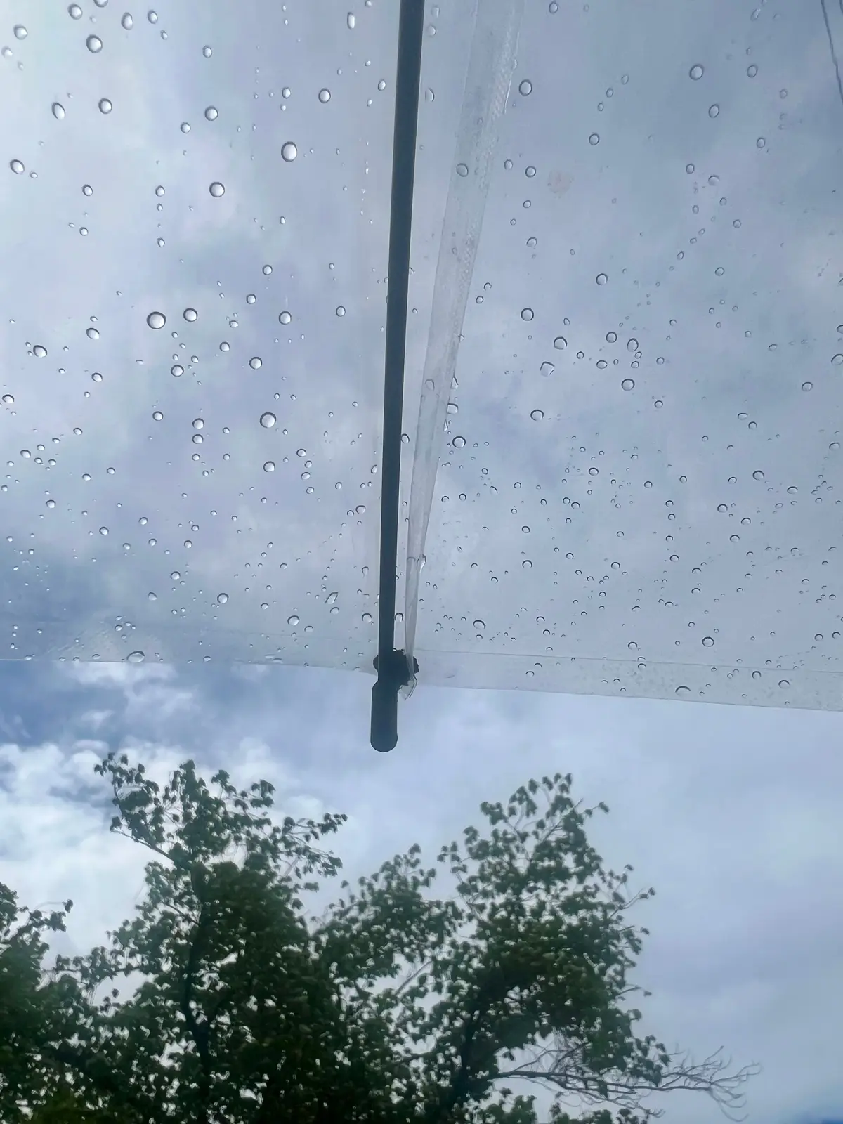 前原光榮商店 x éclatの傘で強い陽の画像_2