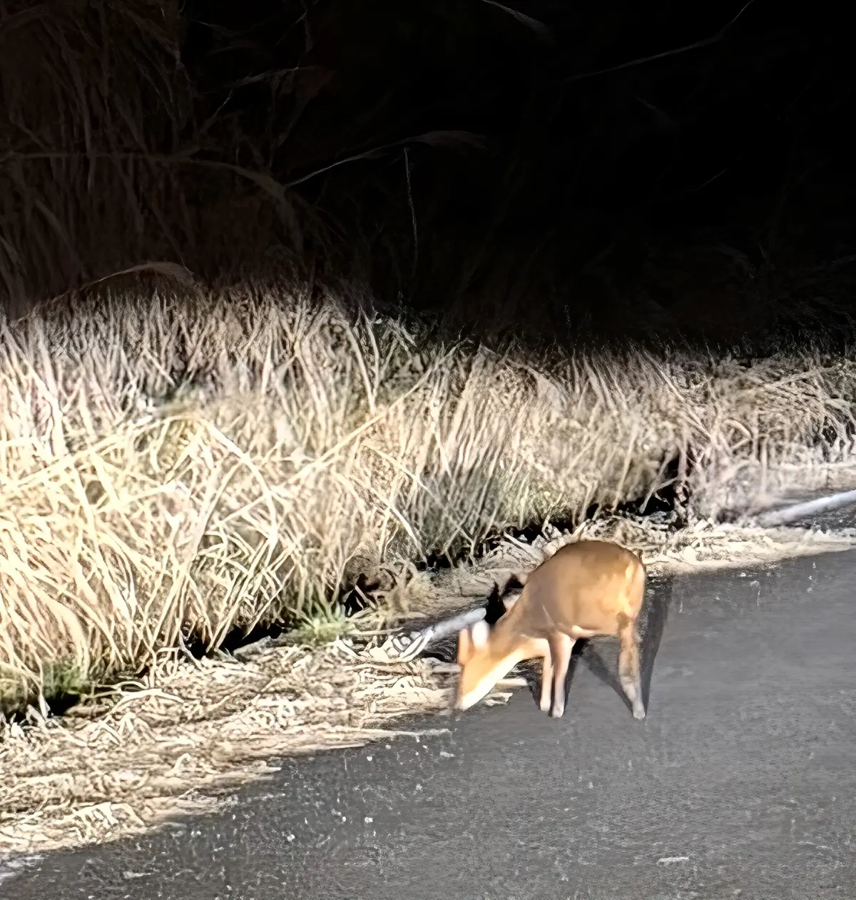 THE LAKOTANのプライベート空間の画像_7