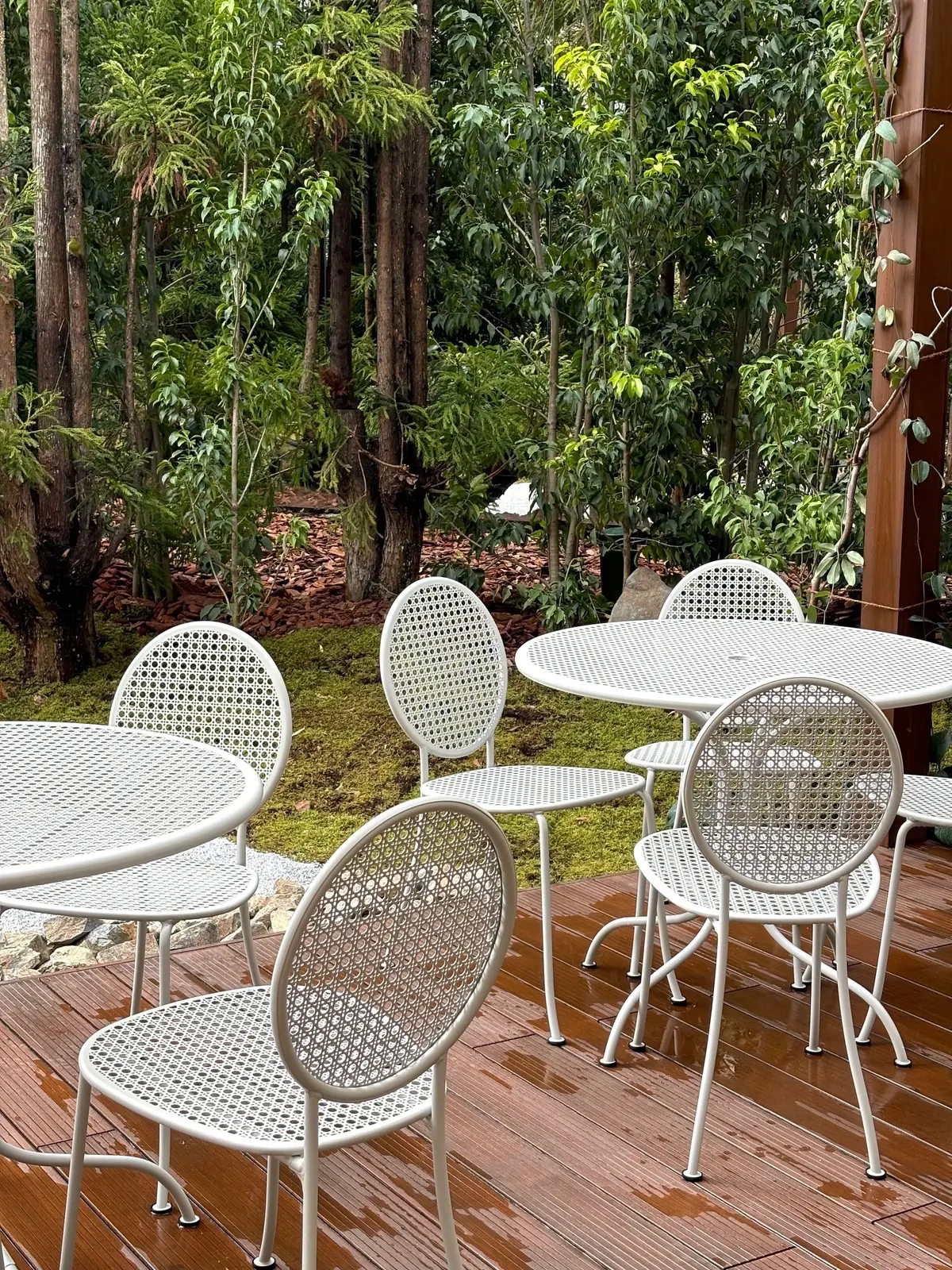 庭園 ディオール バンブー パビリオン カフェ　代官山