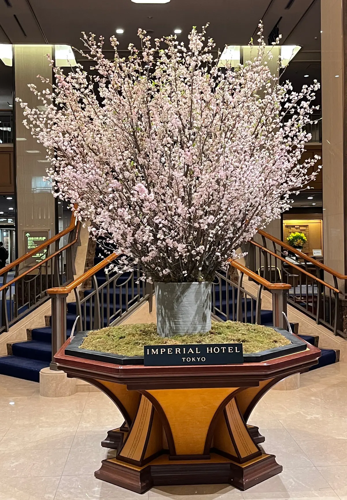 春色コーデでひと足早いプチお花見♪の画像_14