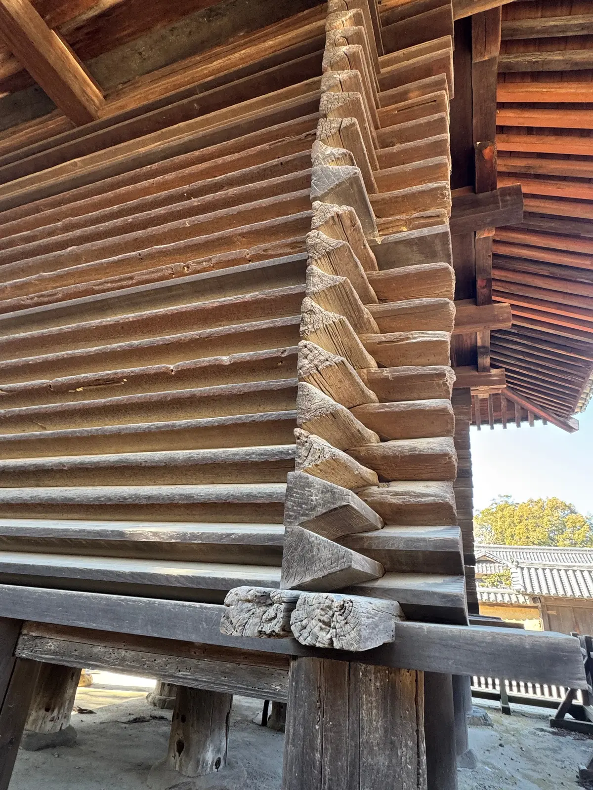 美味いもん＆御朱印を求めて母娘弾丸2人旅の画像_17