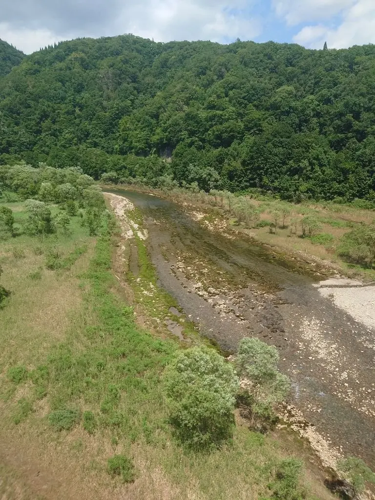 緑豊かな山々を背景に、岩石が散在する小川が流れ、両岸には草地と低木が広がる自然風景