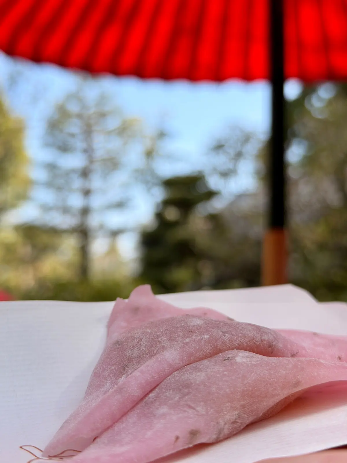 京都、桜さんぽ。満開の桜は天国のよう～平の画像_9