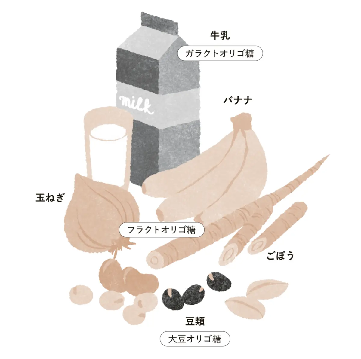 難消化性オリゴ糖も強い味方！
