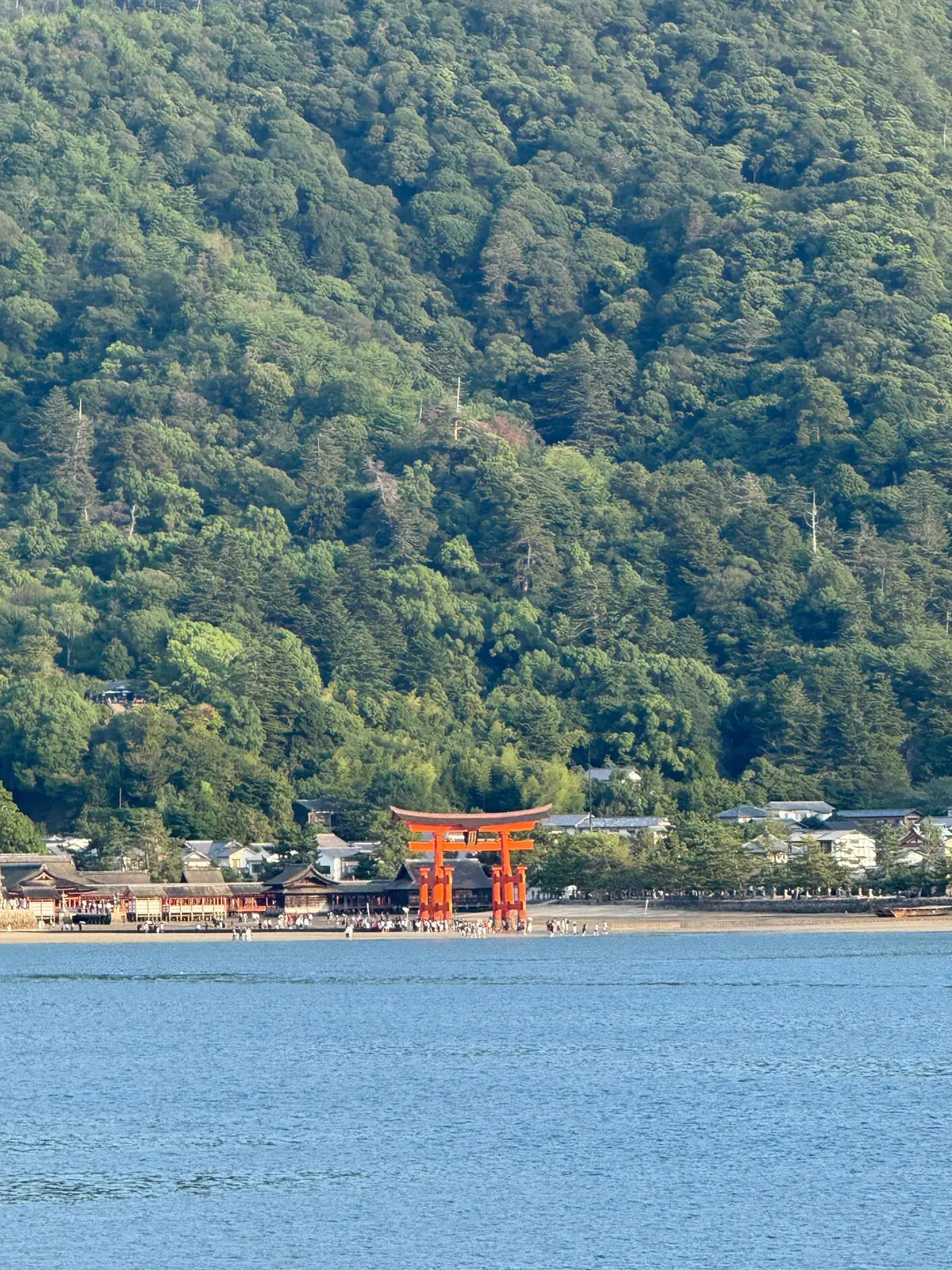 瀬戸内海のほとりに立つ、鮮やかなオレンジ色の鳥居。緑豊かな山を背景に、多くの人が集まっている。宮島の大鳥居。