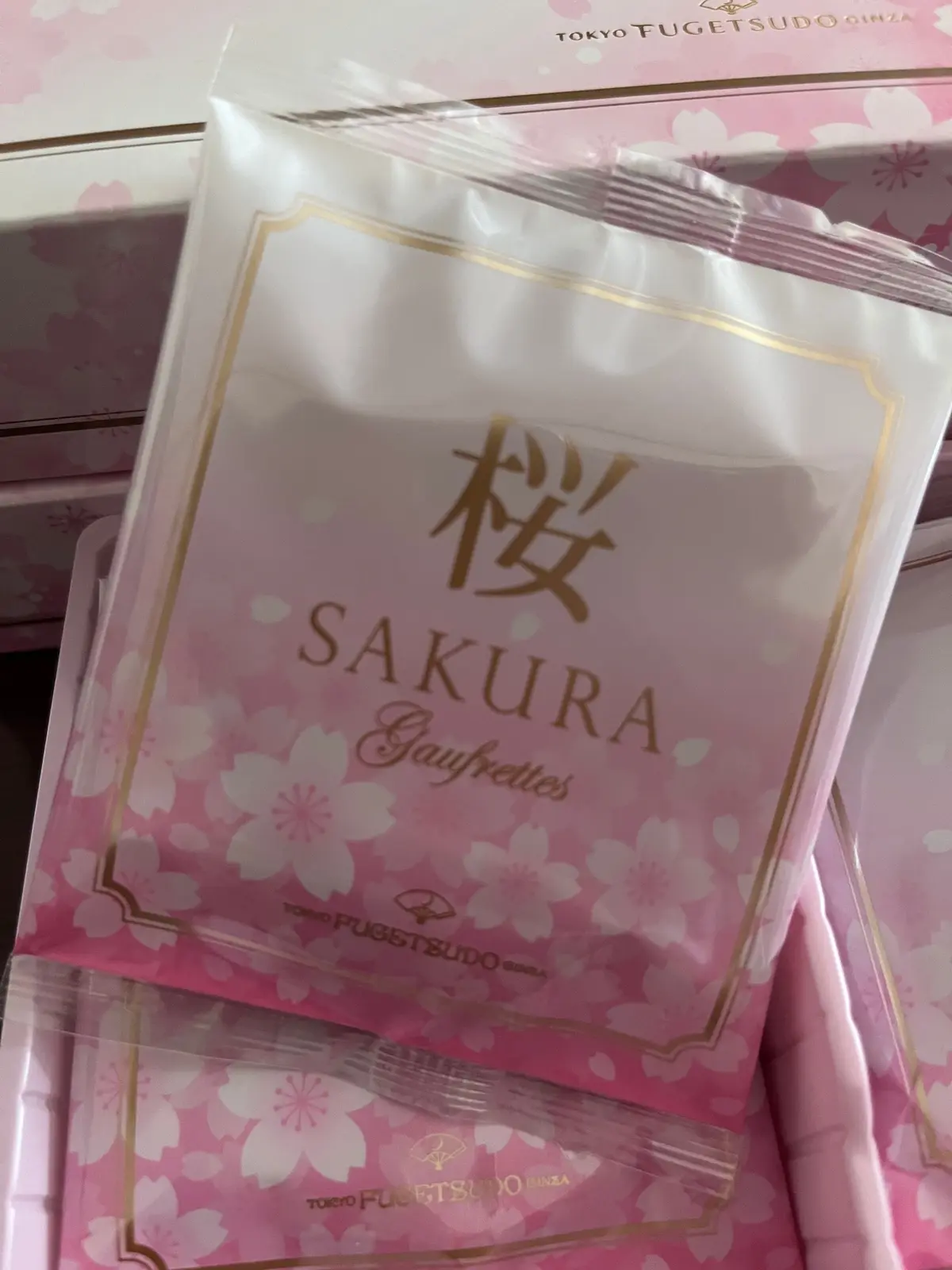 近づく桜の季節の画像_7