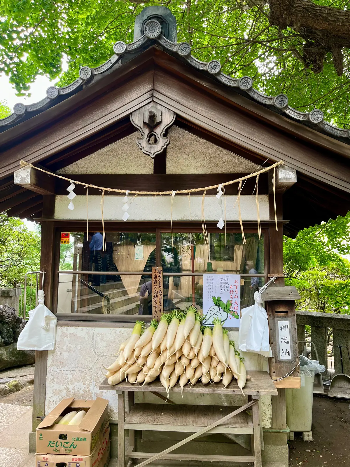 伝統的な木造の小さな神社の鳥居前に、白い大根が木箱に並べられている様子。鳥居には白い折り紙が飾り付けられ、背景には緑豊かな木々が見える。