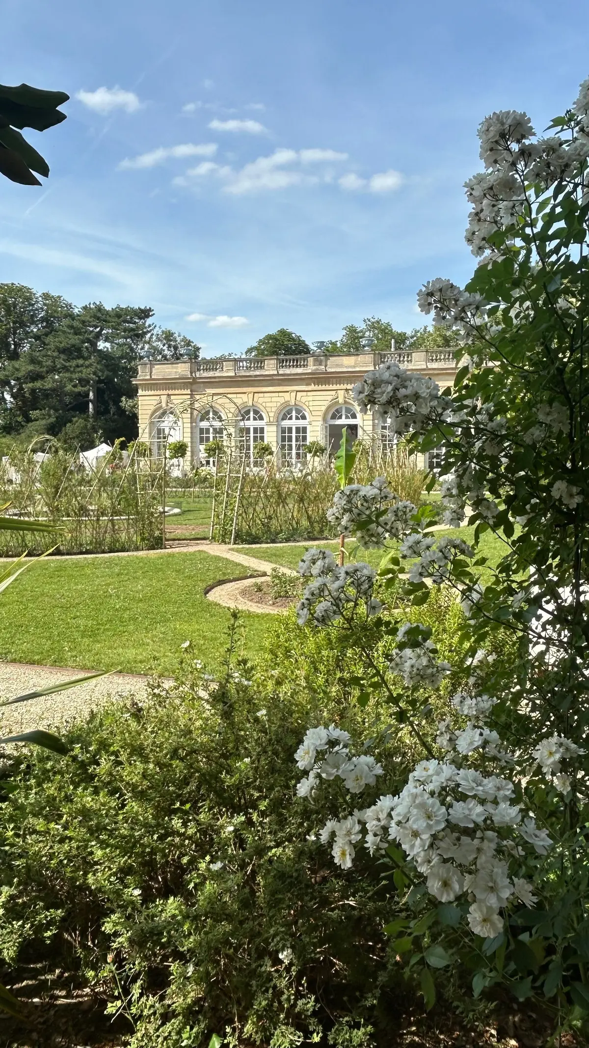 白い花が茂る庭園で、広々とした芝生と曲がりくねった小道があり、背景には大理石の建物が建つ
