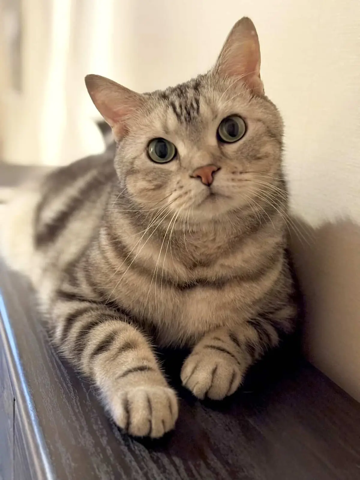 この春なに着る？エクラプレミアム試着会の画像_11