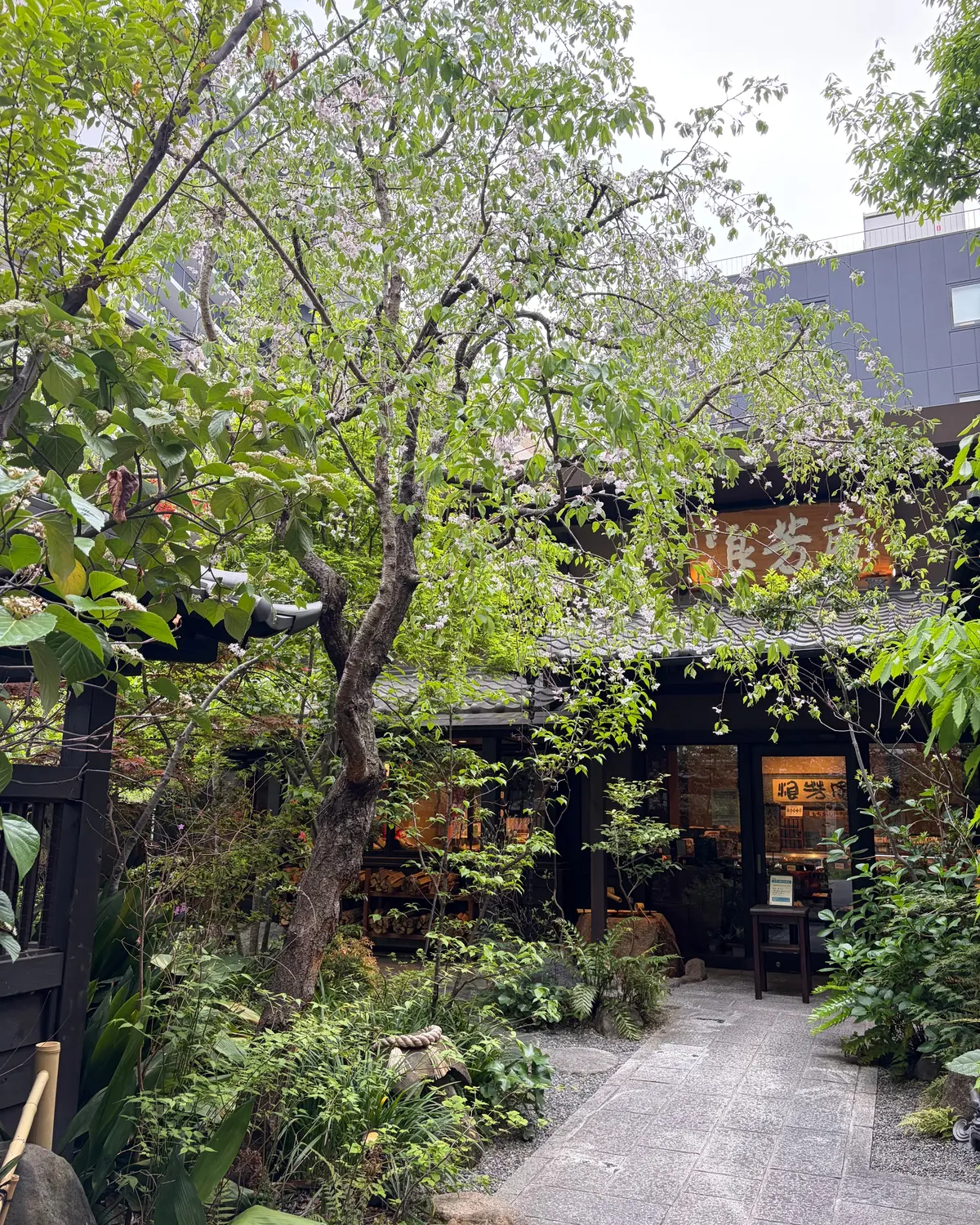 お買い物帰りに甘い寄り道✨ 〜人気の老舗の画像_6