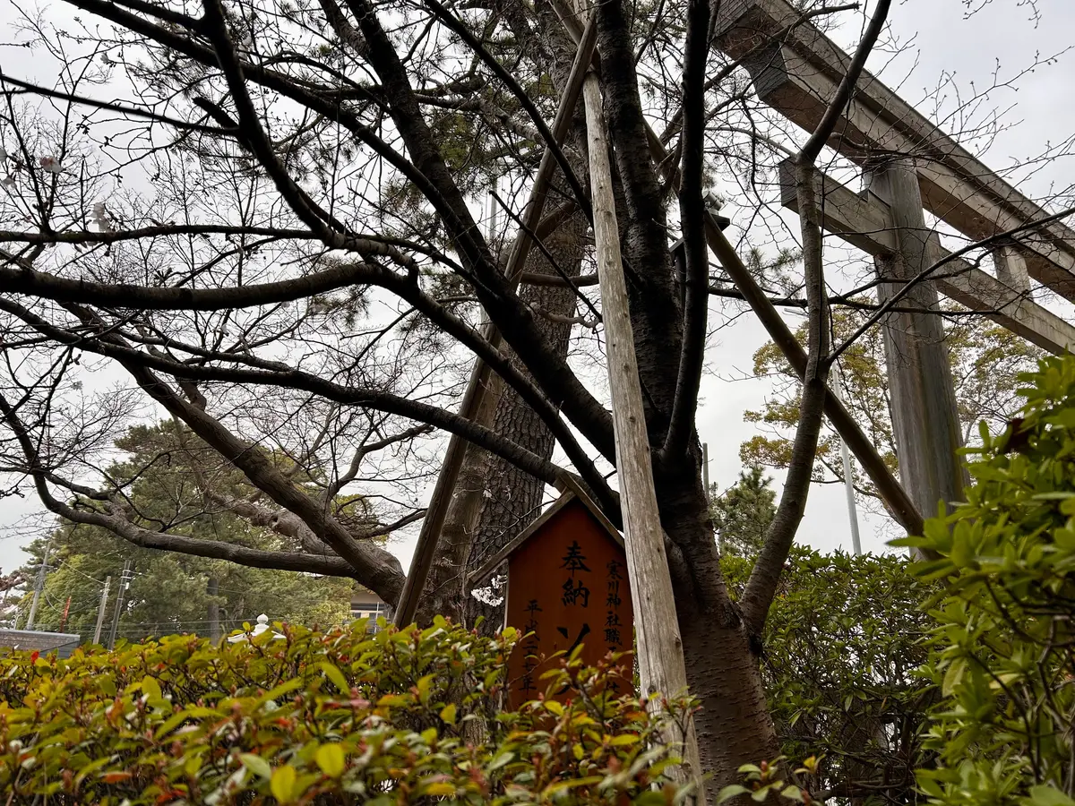 2026年最強神社・寒川神社に祈祷への画像_8