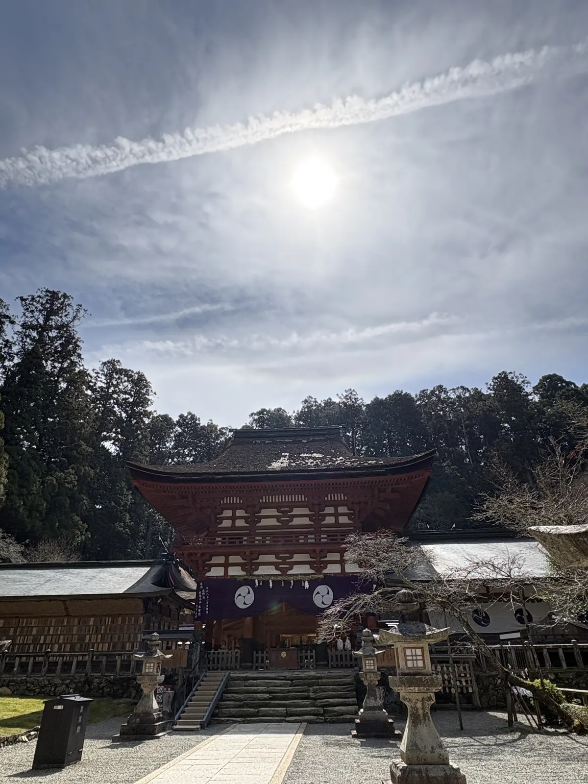 「人生で一度は叶えたいことを、大人になっの画像_4