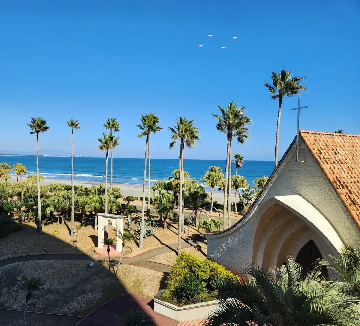 春色ニットで宮崎キャンプへの画像_1