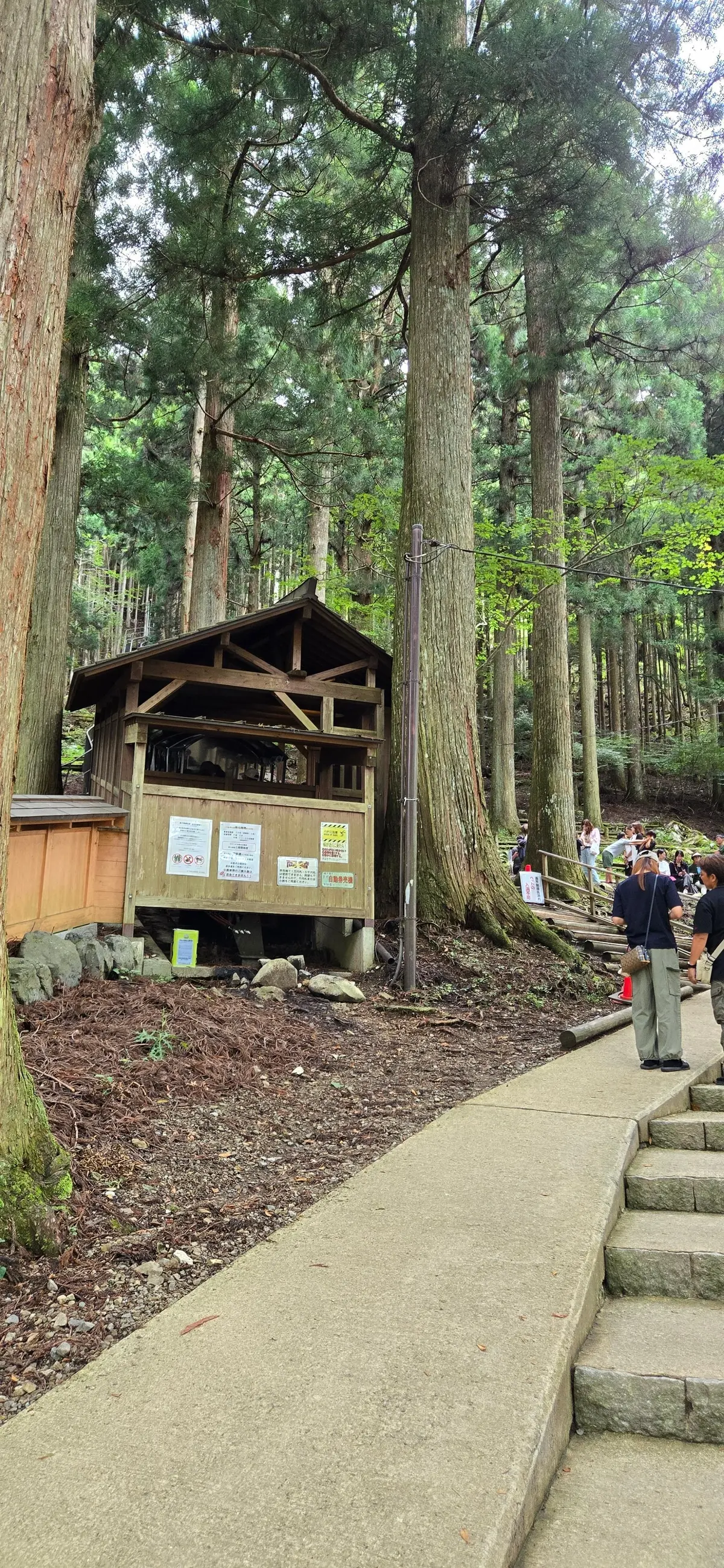 木々に囲まれた小舎が、コンクリートの道と階段の脇に位置する風景。舎には複数の張り紙が貼られており、背景にはさらに多くの人が階段を上っている様子が見える。