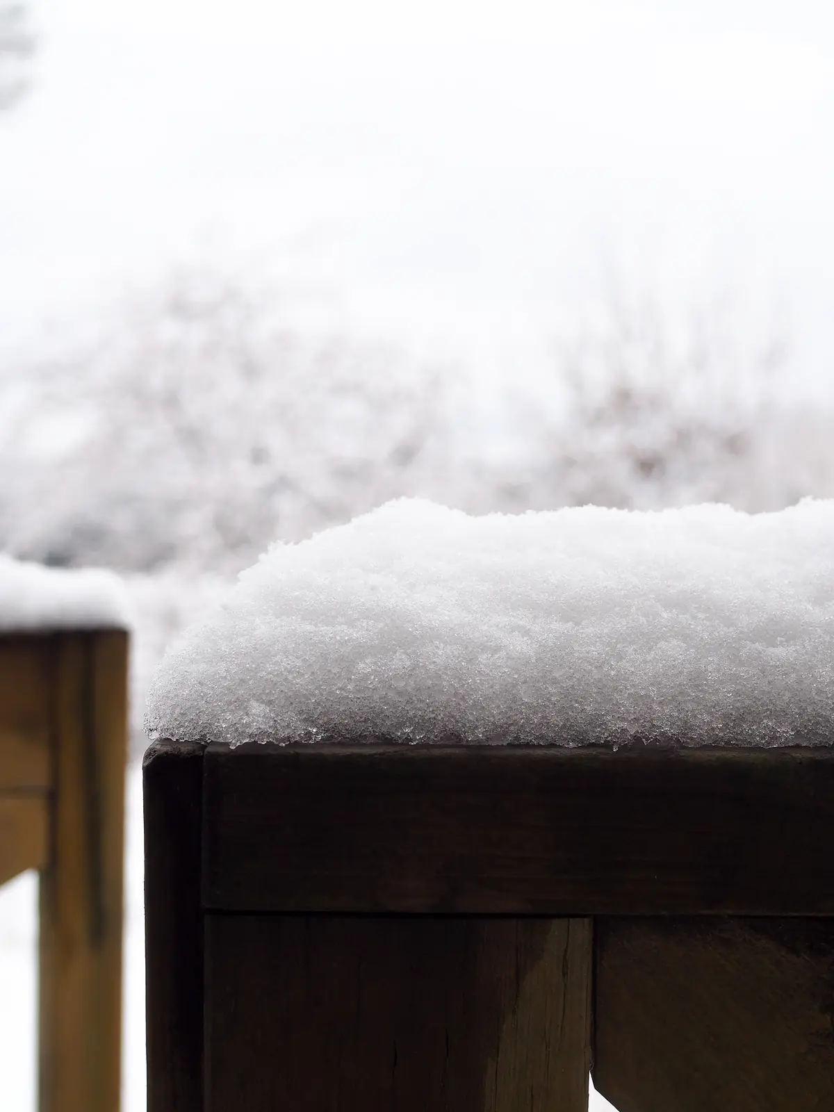 雪の里山暮しの画像_4
