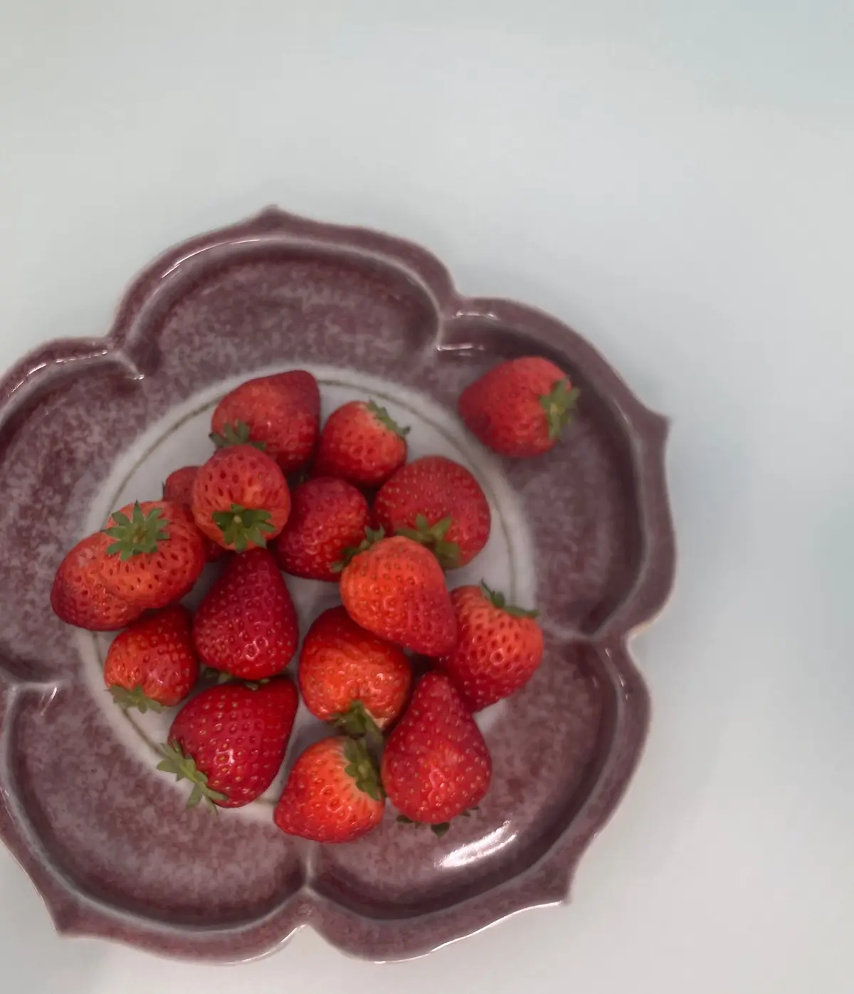 陶芸家・河井一喜さんの用の美の器 いちごを盛る エクラ編集部員の偏愛名品図鑑