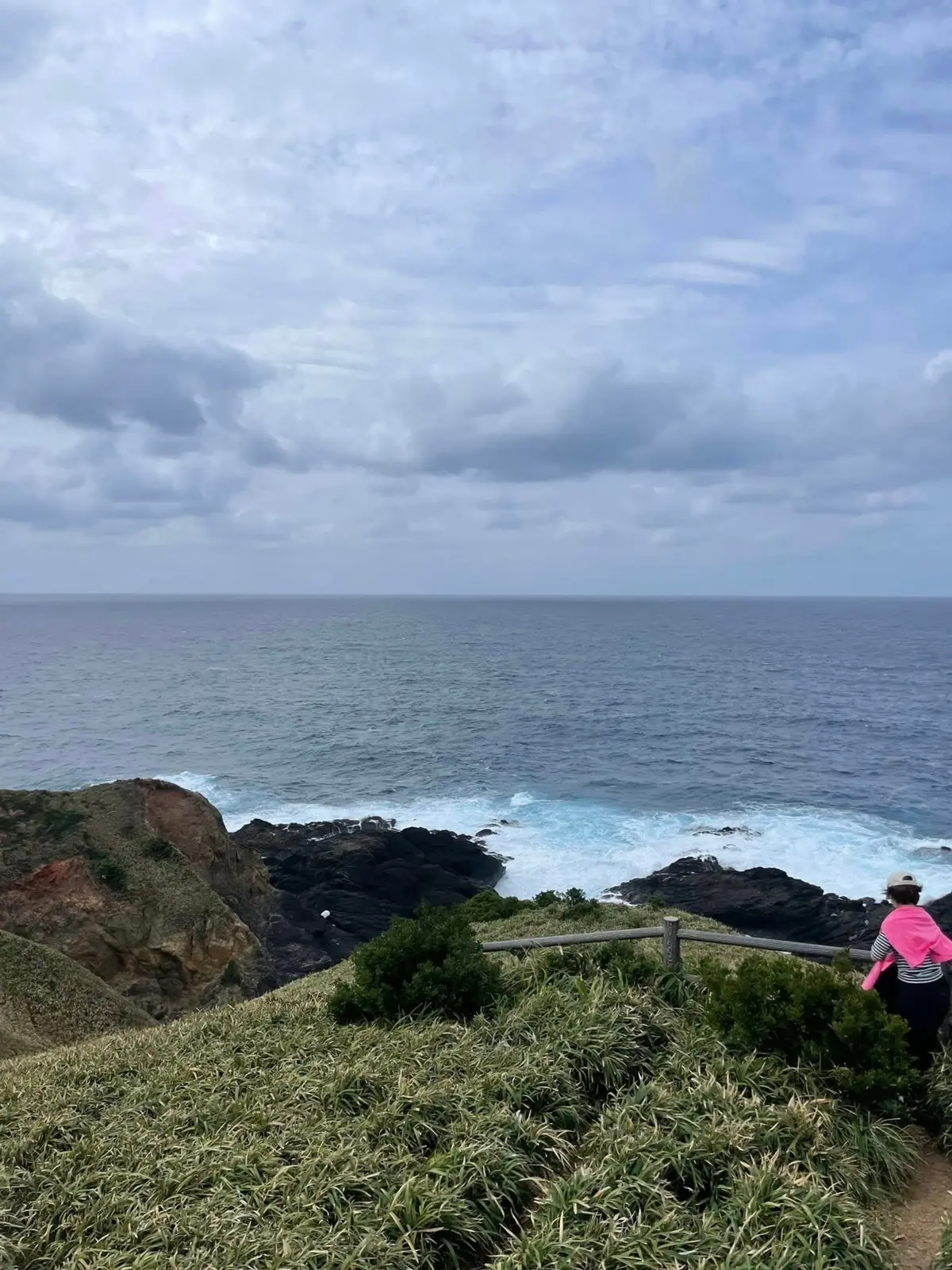 奄美大島の自然を満喫する旅①｜マングローの画像_10