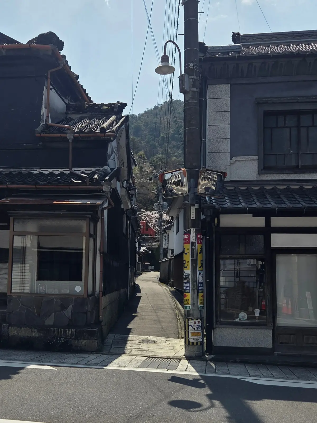 馬場の山桜と有田焼を巡る、佐賀の一日の画像_11