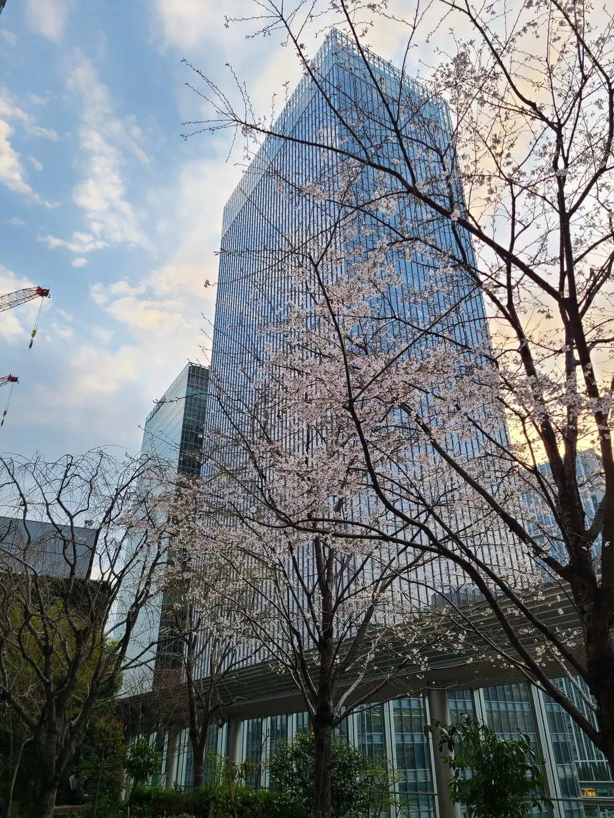東京八重洲、秘密のカフェの画像_1
