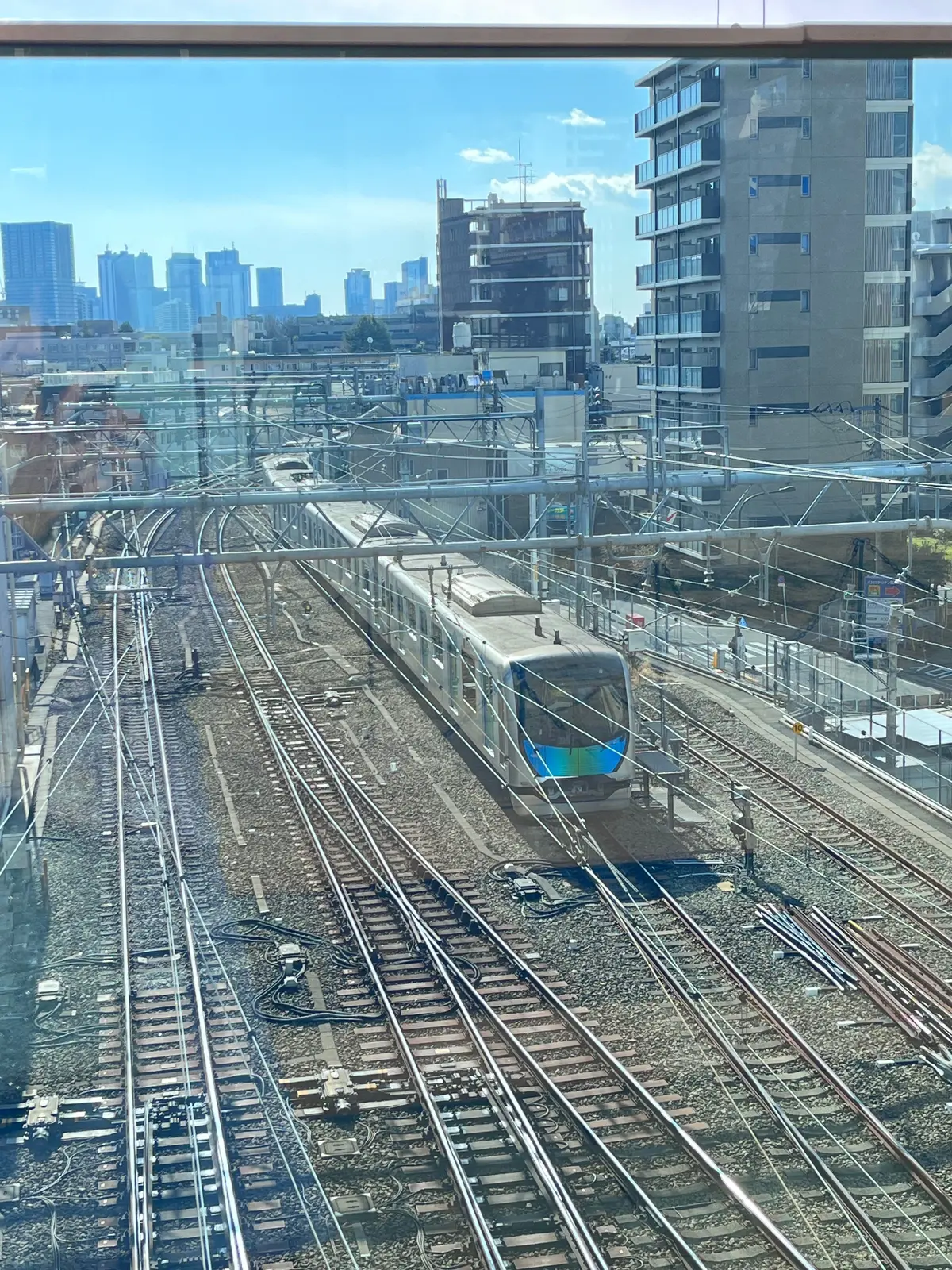 ジャスミンさんと池袋♪の画像_6