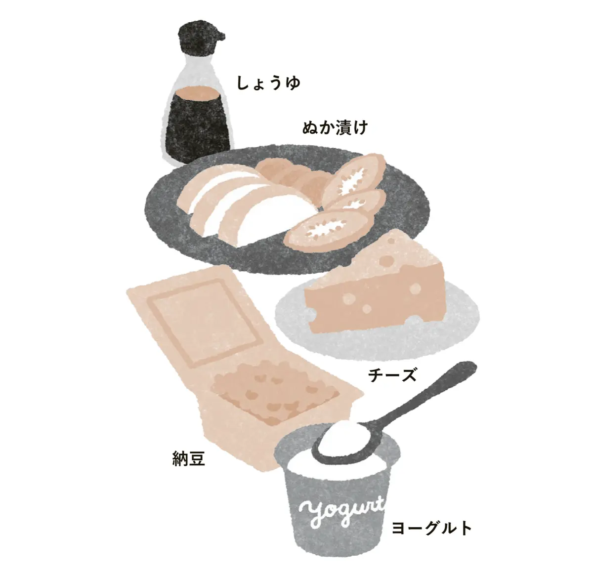 腸活　おすすめ　発酵食品　醤油　ぬか漬け　チーズ　ヨーグルト　納豆　イラスト