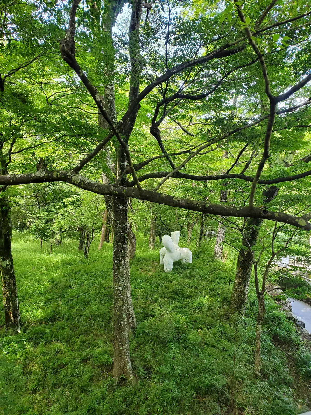 緑豊かな木々に囲まれた芝生の中央に、白い抽象彫刻が置かれている。彫刻は人や動物を思わせるような形をしている。背景には、さらに多くの木々と、小川のようにも見える水辺が見える。