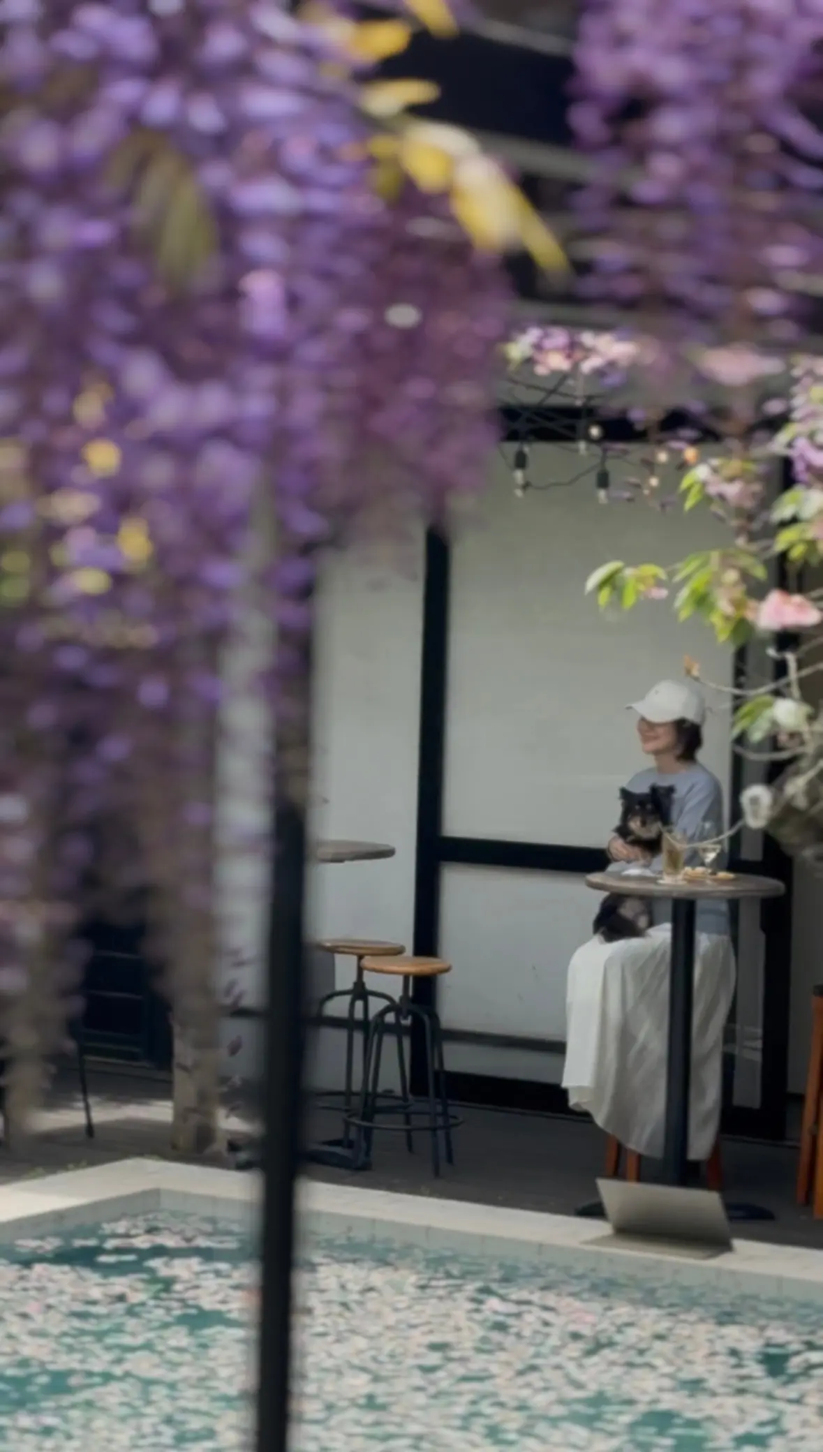 鎌倉の小さなチーズ専門店で見つけた、とっの画像_8