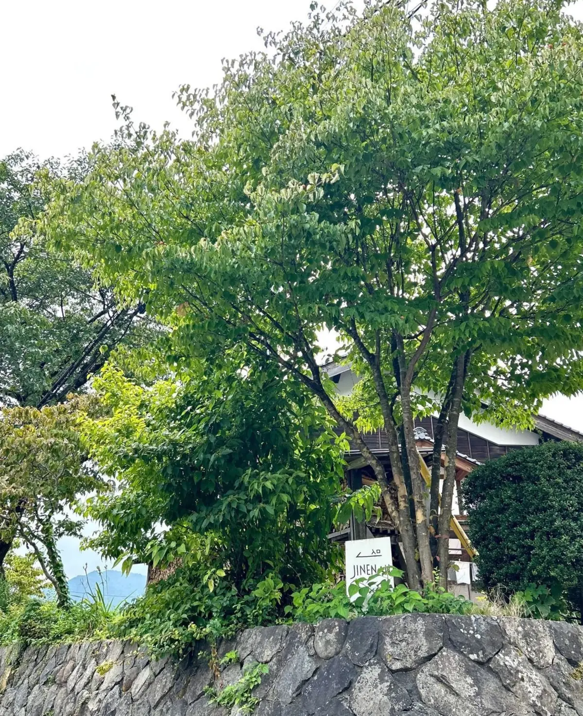 山村にある素敵な石窯ピッツェリアへ行っての画像_20