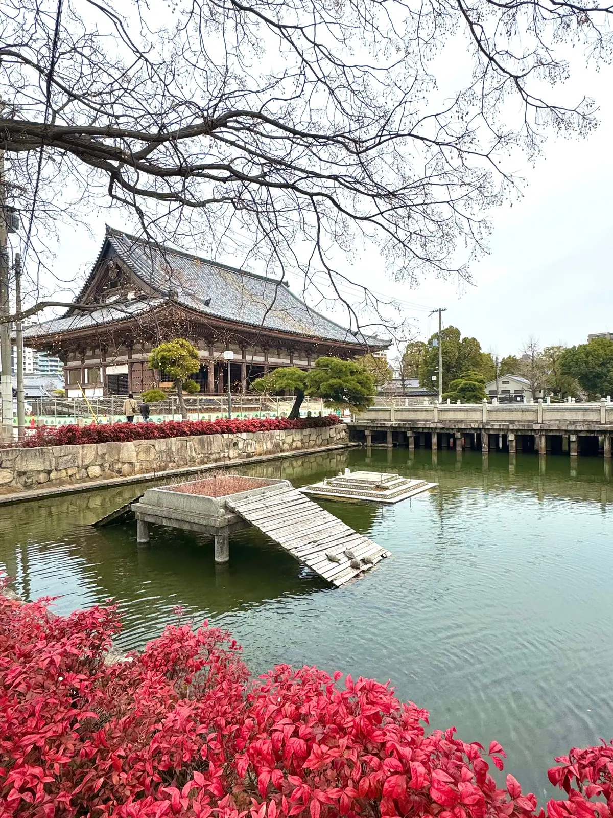 美味いもん＆御朱印を求めて母娘弾丸2人旅の画像_10