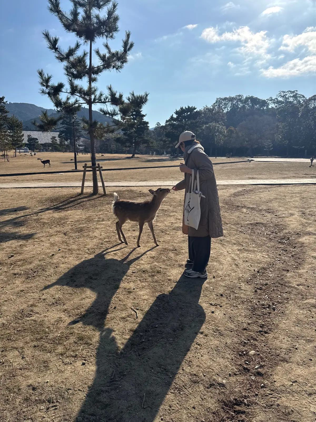 美味いもん＆御朱印を求めて母娘弾丸2人旅の画像_14