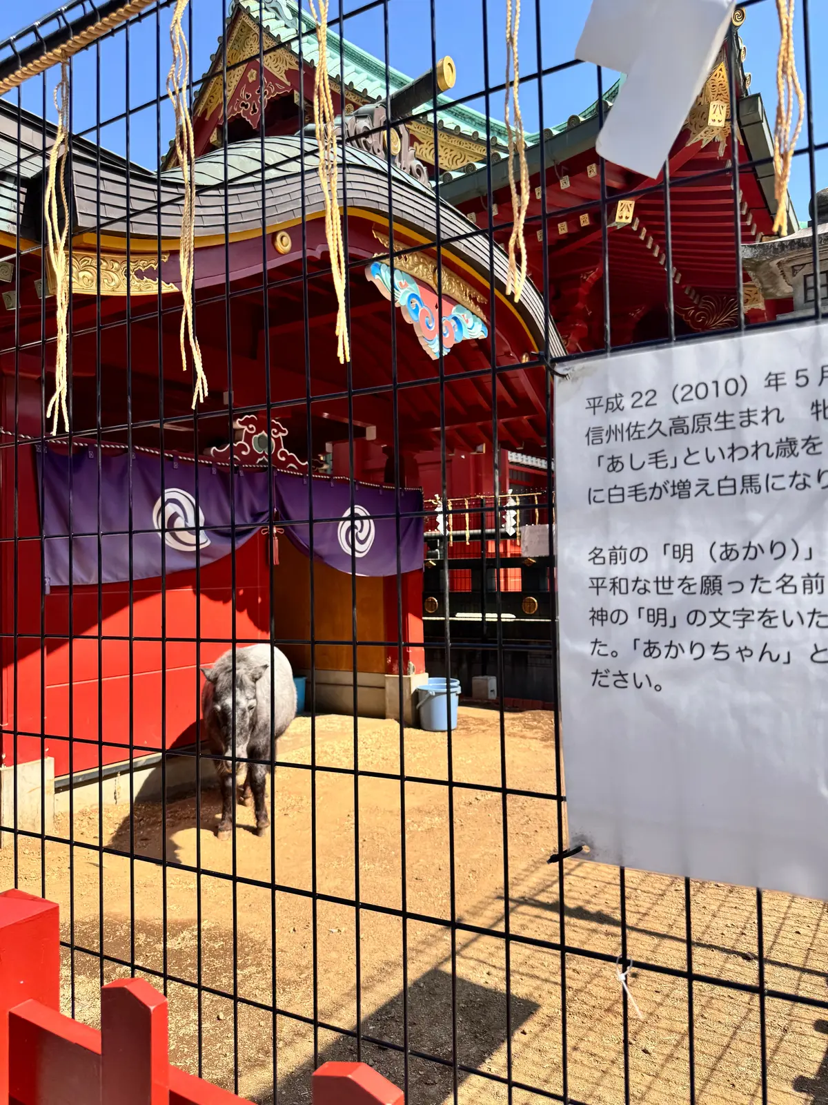 UNIQLOベストセラー「カーデ✖️肩がの画像_6