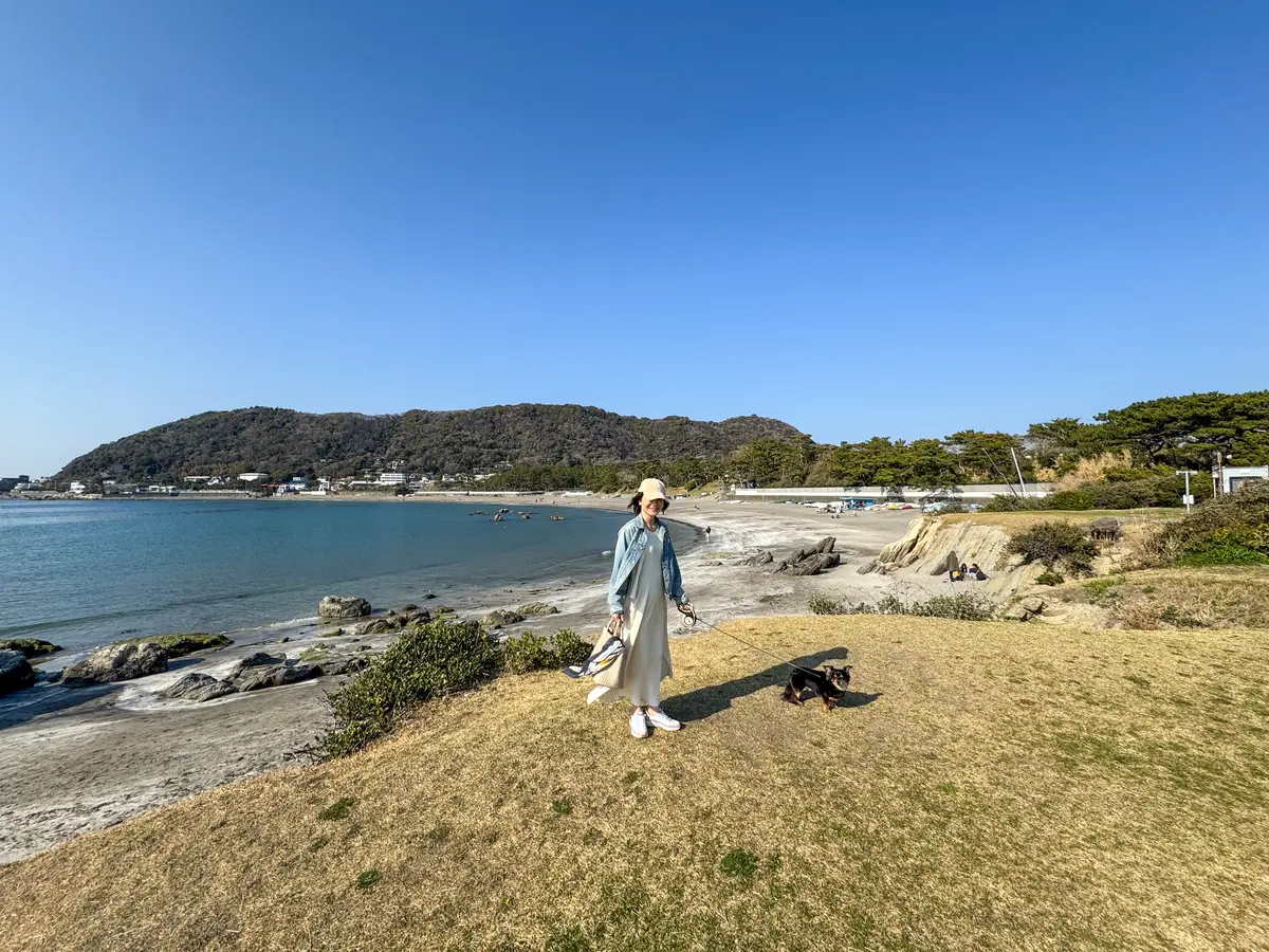 葉山さんぽ｜名物ランチ、パワースポット、の画像_13