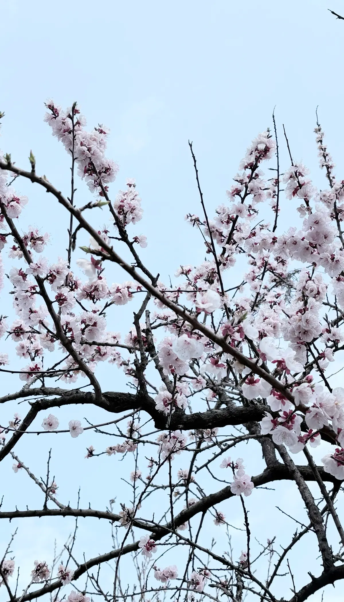 イエローを効かせた大人のこなれ春コーデの画像_1