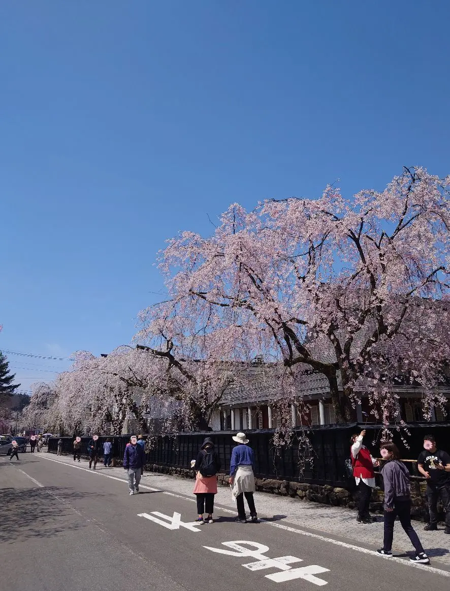 角館武家屋敷の伝承館の通り