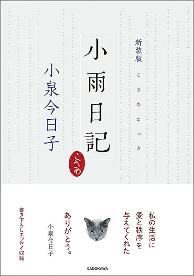 小泉今日子　新装版　小雨日記