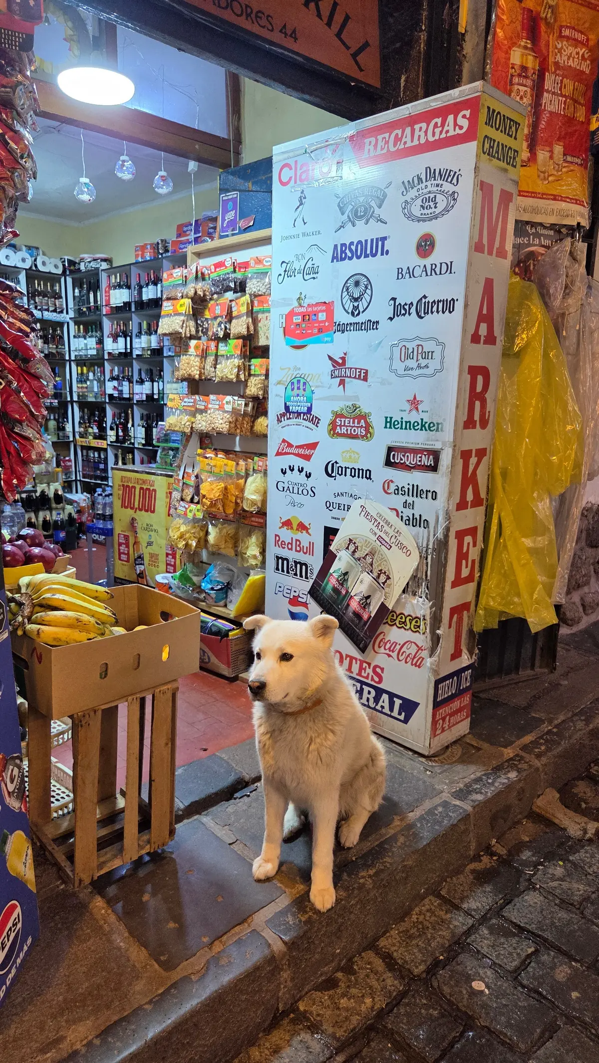 死ぬまでに見たい絶景ランキング常連！インの画像_5