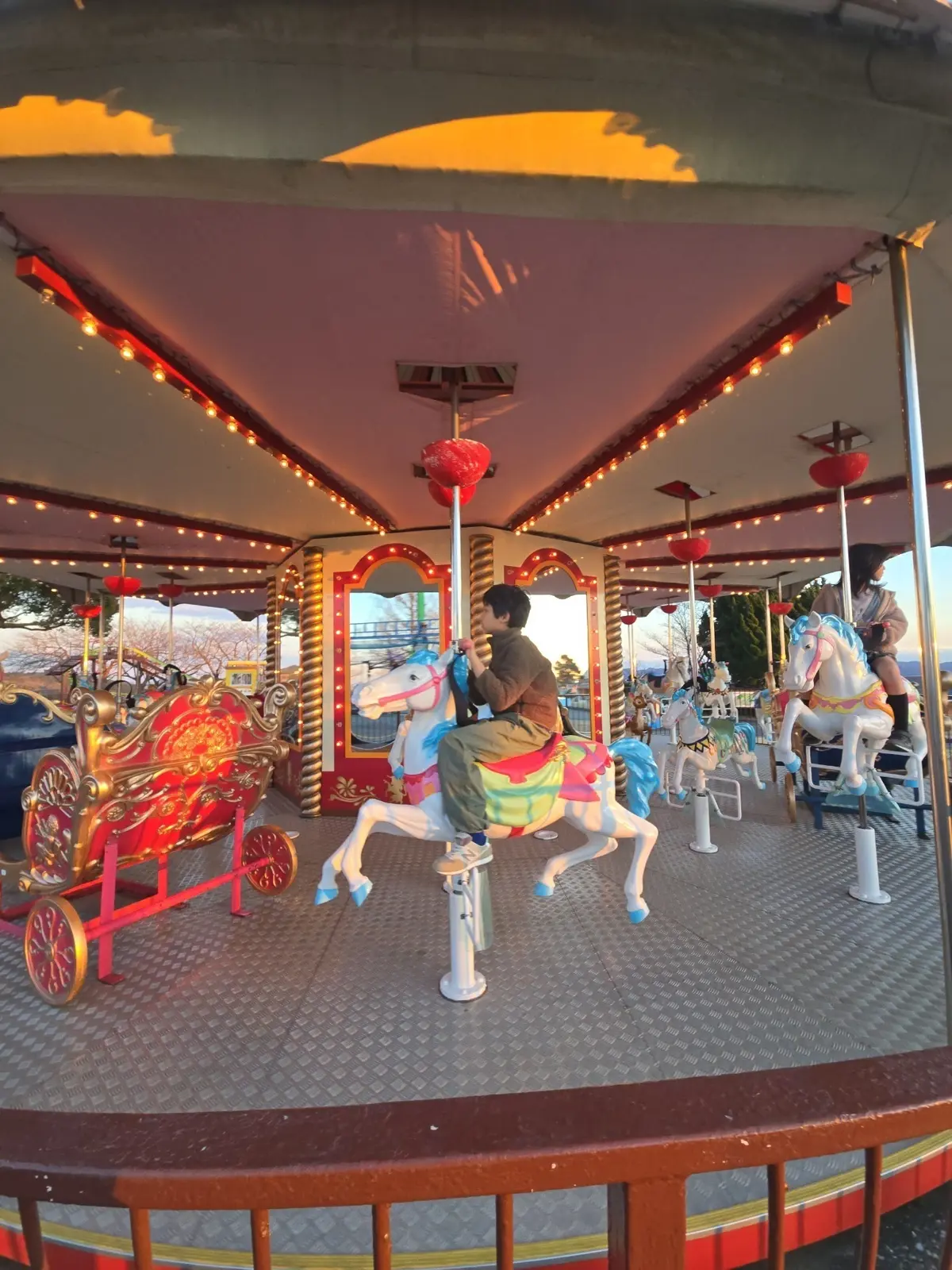 今の時期ならでは！菜の花とイルミネーショの画像_11