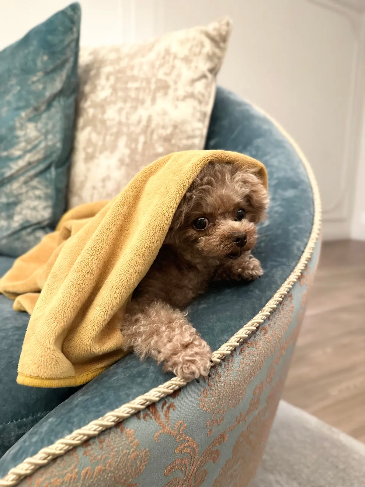 年始は家族でゆっくり温泉の画像_7