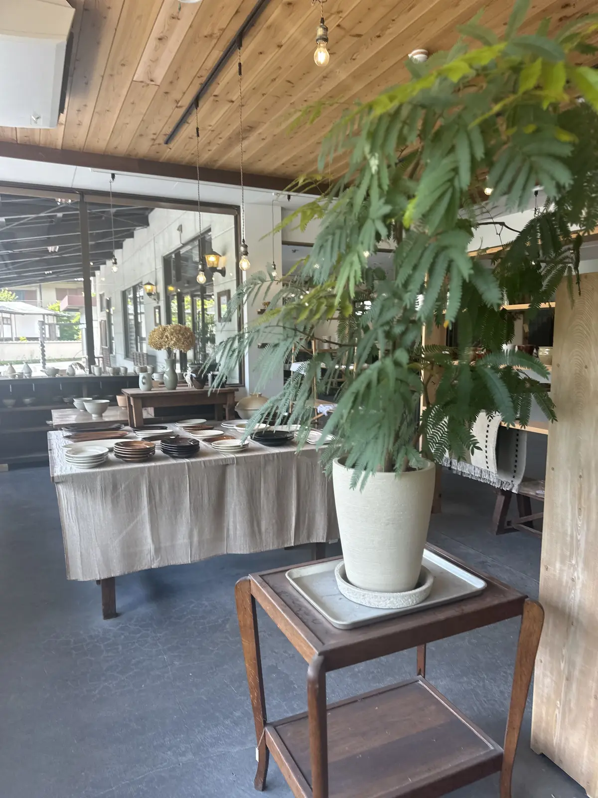 木製の天井と大きな窓を持つカフェのインテリアで、大きな観葉植物がテーブルに置かれ、食器や花瓶が並ぶカウンターがあります。