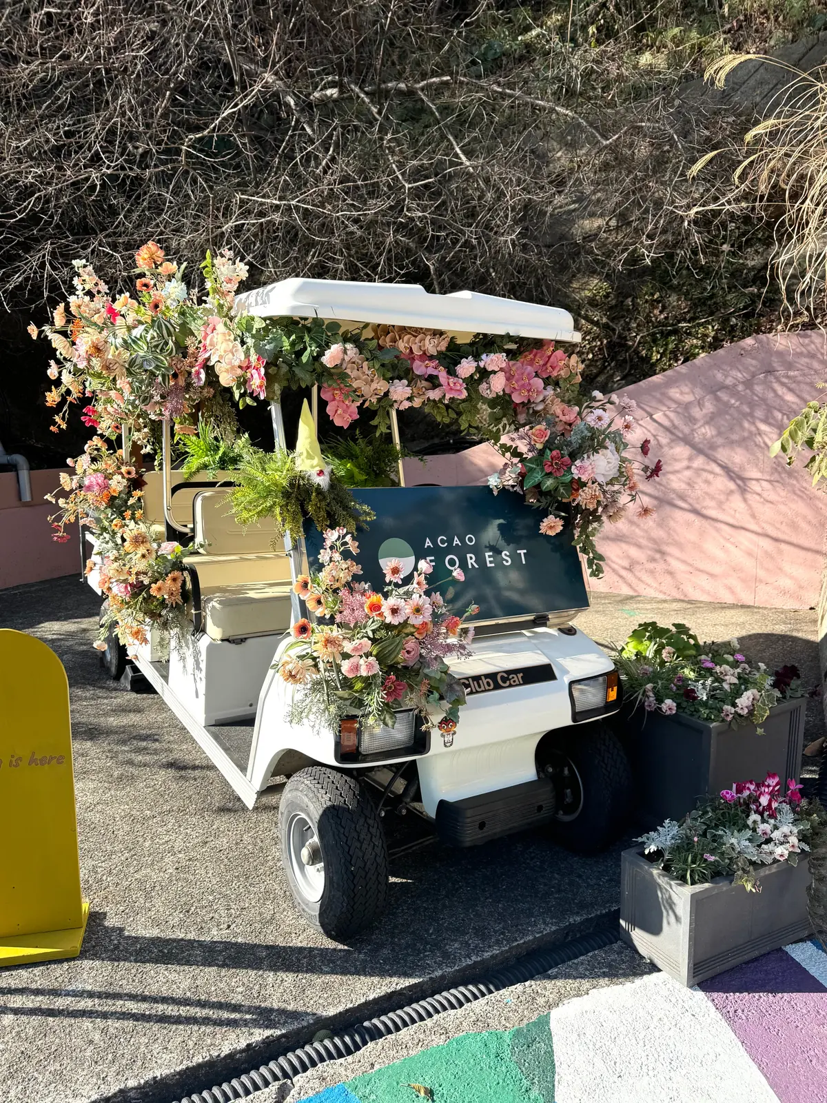 202601 アカオフォレスト 01